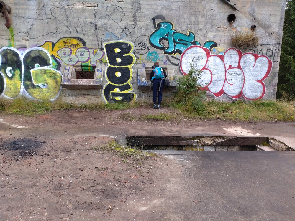 DSC_0312.JPG