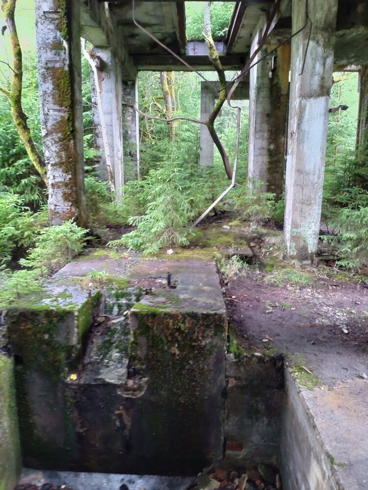 DSC_0329.JPG
