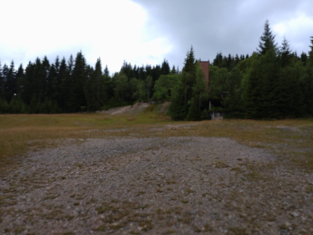 DSC_0339.JPG
