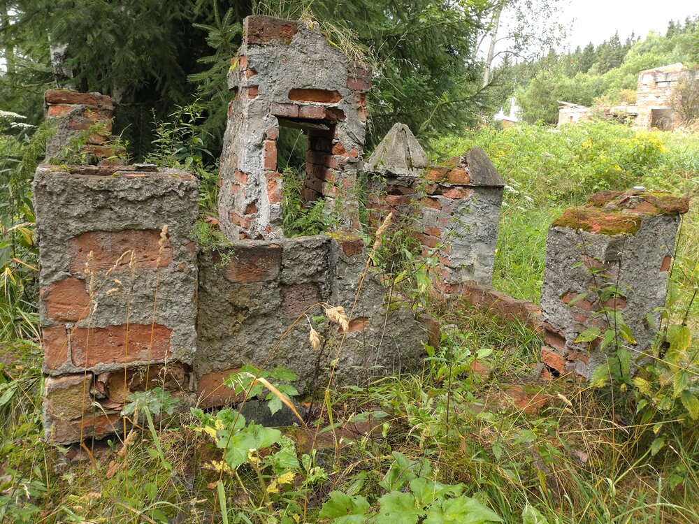 DSC_0374.JPG