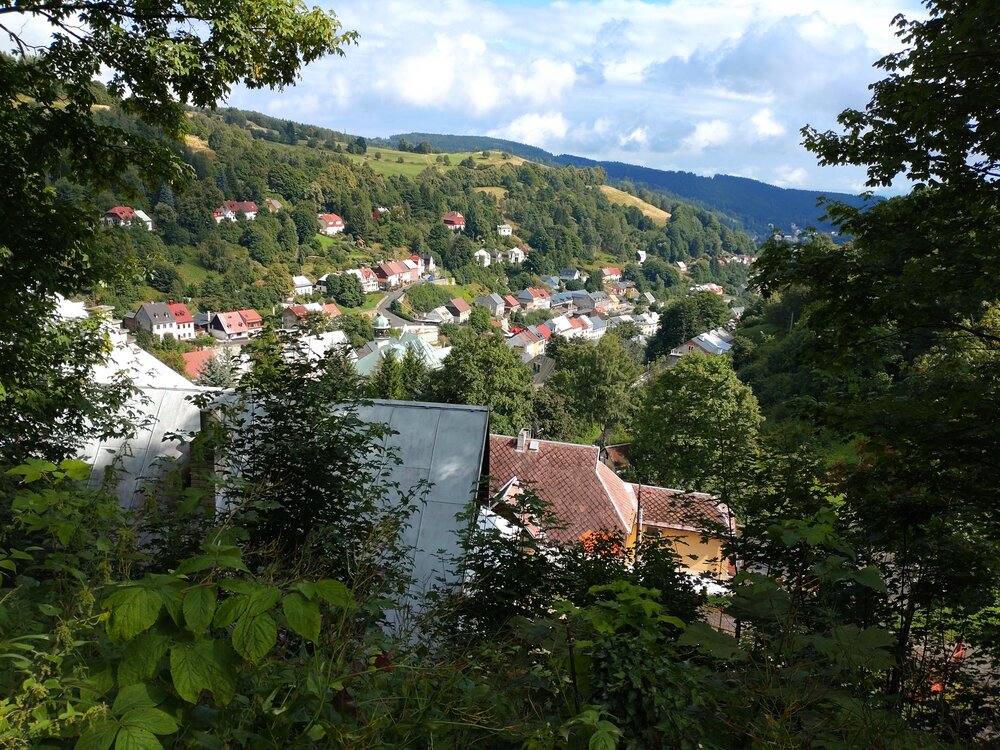 DSC_0384.JPG