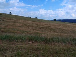 Cestou do Königsmühle