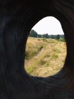 Königsmühle