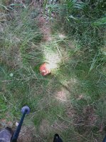 DSC_0170.JPG