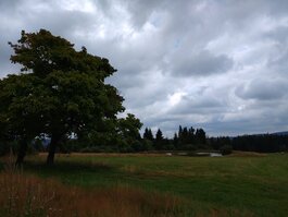 DSC_0213.JPG