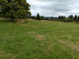 DSC_0214.JPG