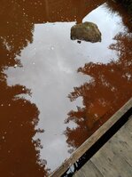 DSC_0219.JPG