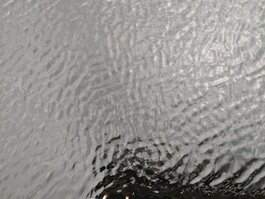 DSC_0235.JPG