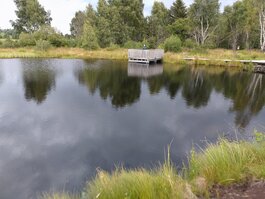 DSC_0239.JPG