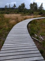DSC_0242.JPG