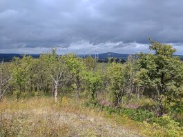 DSC_0255.JPG