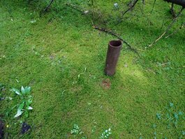 DSC_0270.JPG