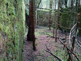 DSC_0276.JPG