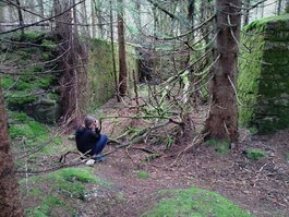 DSC_0278.JPG