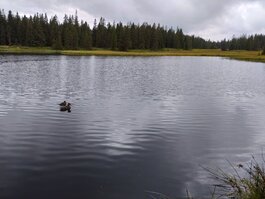 DSC_0282.JPG