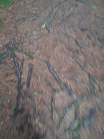 DSC_0283.JPG