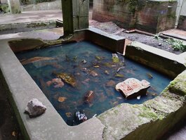 DSC_0294.JPG