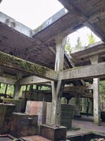 DSC_0295.JPG