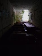 DSC_0310.JPG
