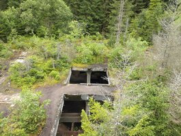 DSC_0311.JPG
