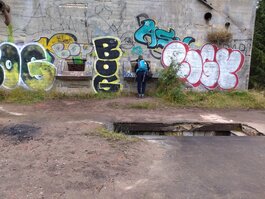 DSC_0312.JPG