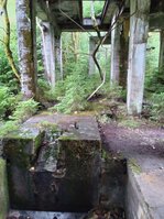 DSC_0329.JPG