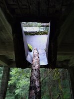 DSC_0334.JPG