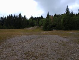 DSC_0339.JPG