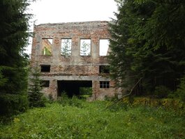 DSC_0343.JPG