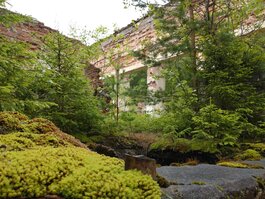 DSC_0345.JPG