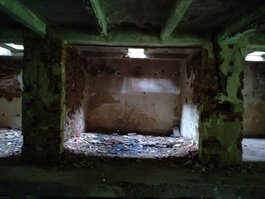 DSC_0348.JPG