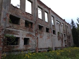 DSC_0353.JPG