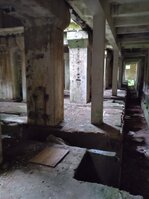 DSC_0356.JPG