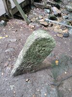 DSC_0392.JPG