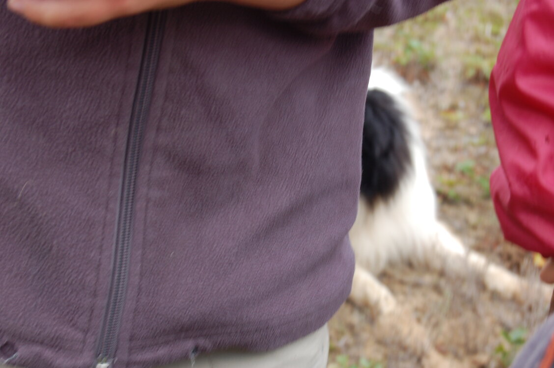 an1_040153.jpg