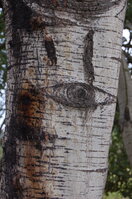 an1_040185.jpg