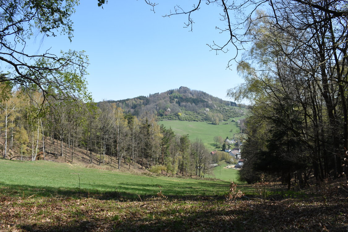 an2_008772.jpg