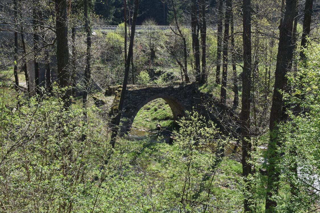 an2_008780.jpg