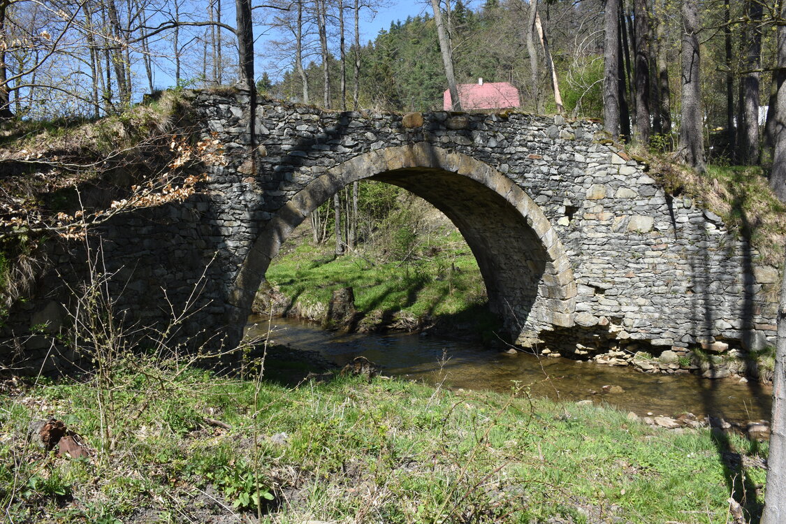 an2_008783.jpg