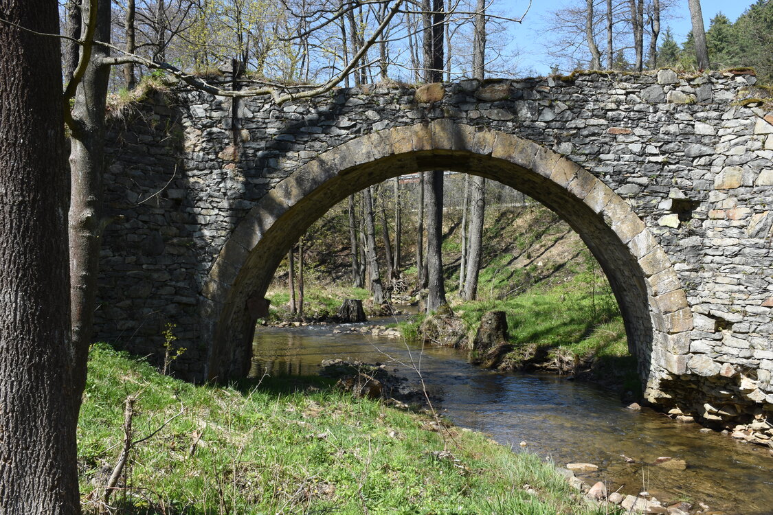 an2_008784.jpg