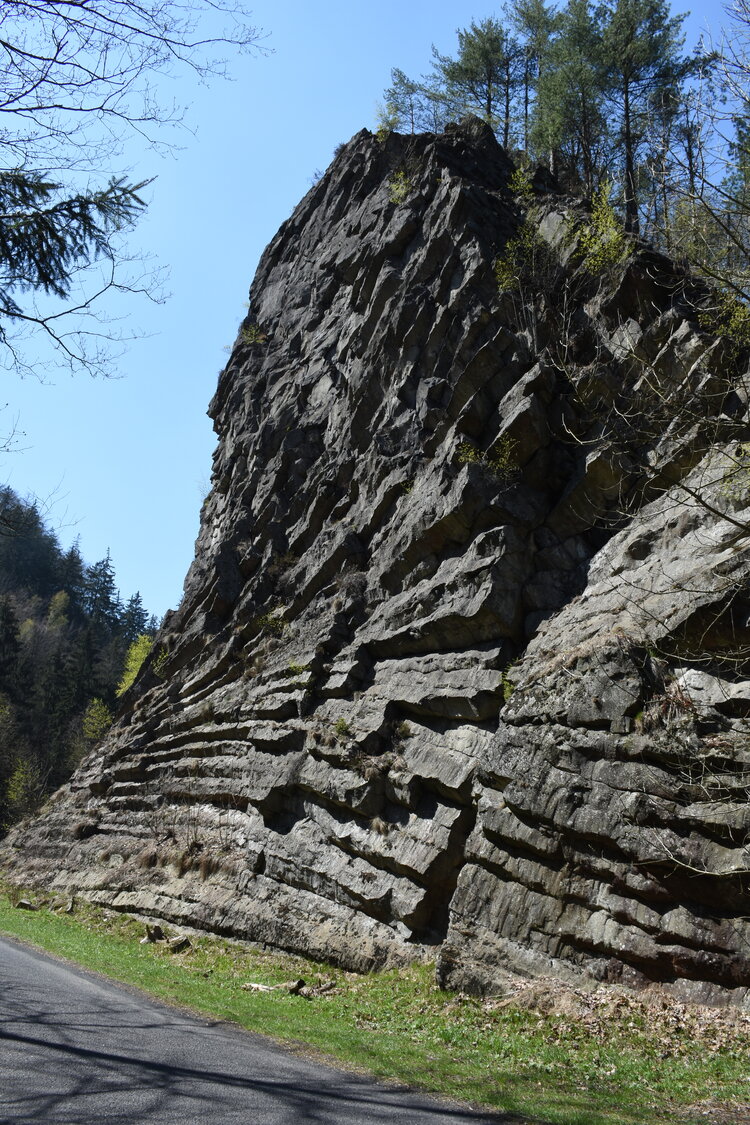 an2_008789.jpg