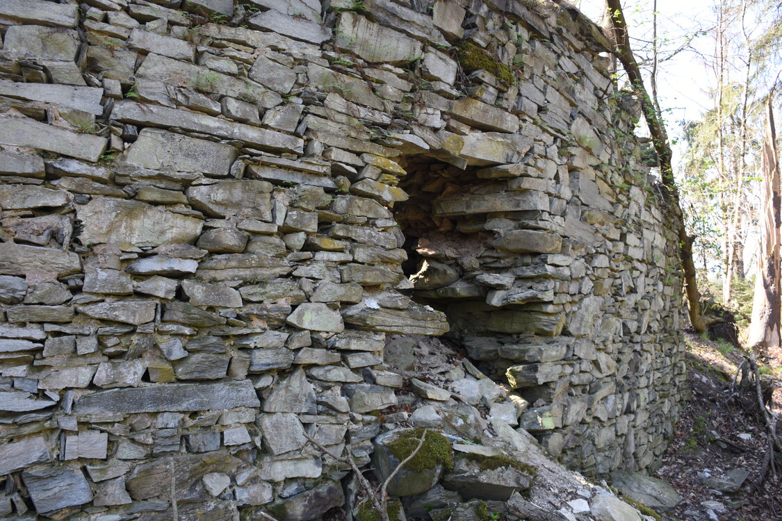 an2_008797.jpg