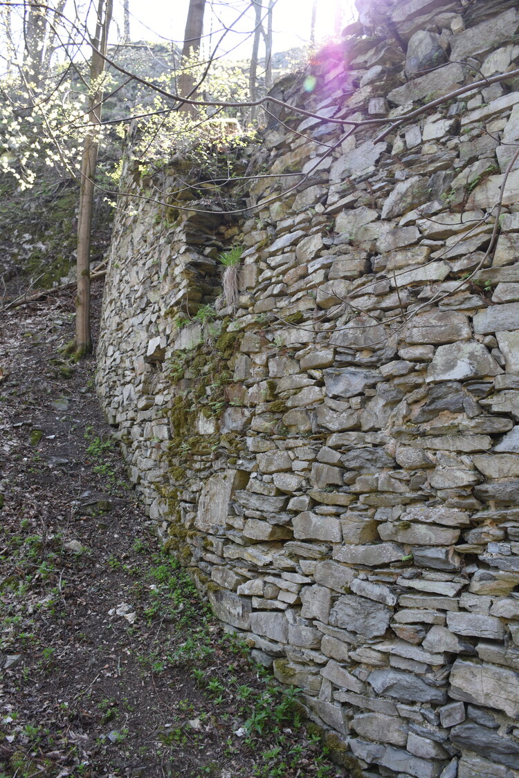 an2_008799.jpg