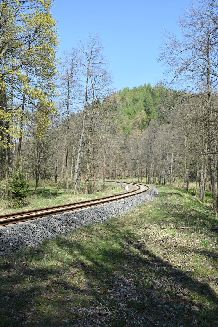 an2_008801.jpg