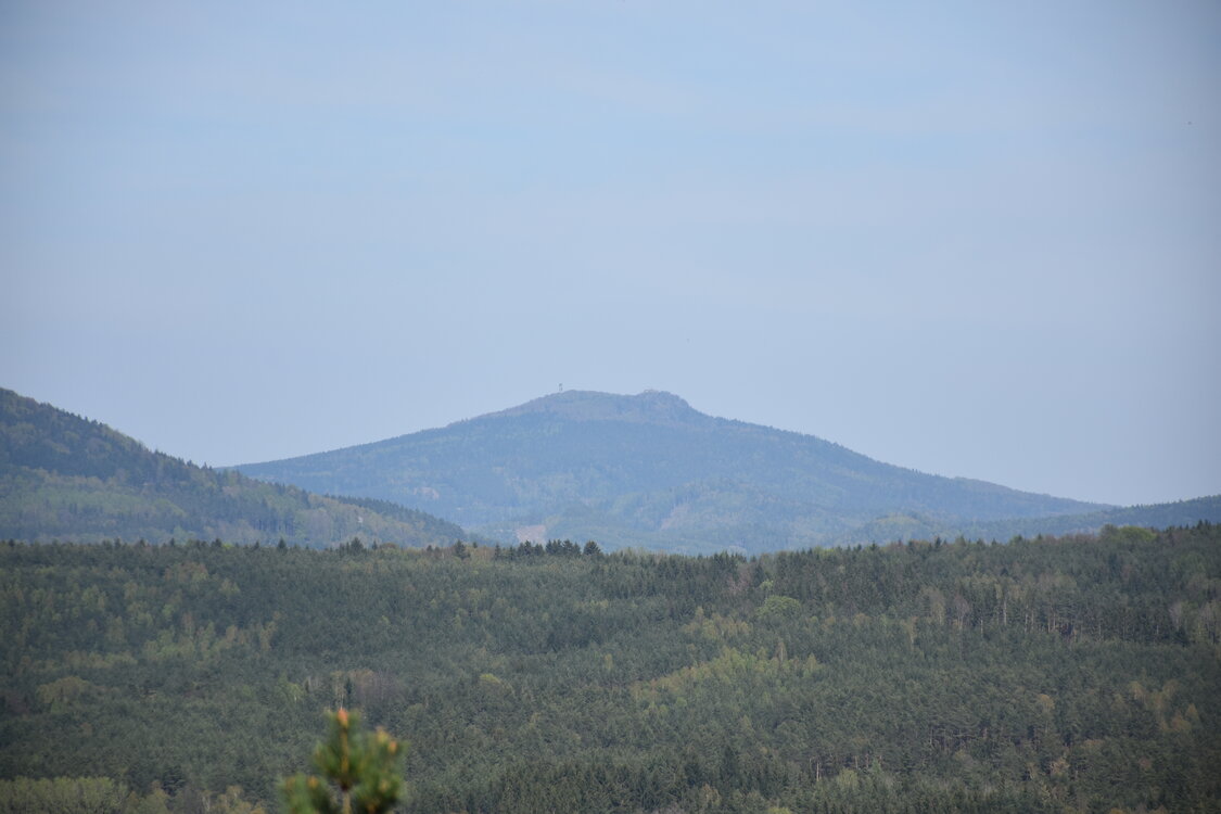 an2_008828.jpg