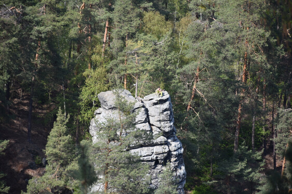 an2_008830.jpg