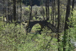 an2_008780.jpg