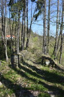 an2_008782.jpg