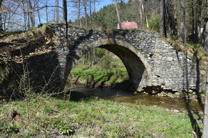 an2_008783.jpg