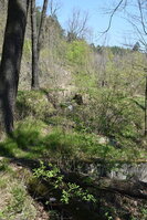an2_008786.jpg